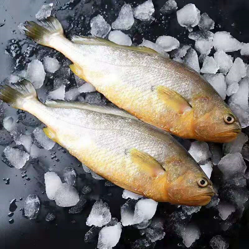 5_副本.jpg
