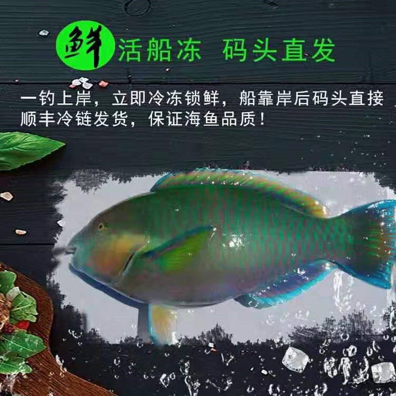 9_副本.jpg