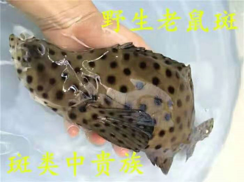 6_副本.jpg