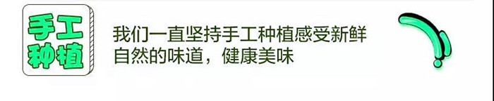 手工种植.jpg