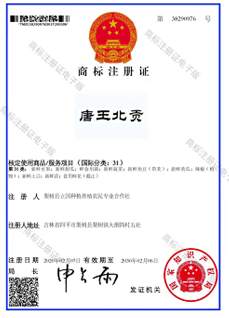 1_副本.png